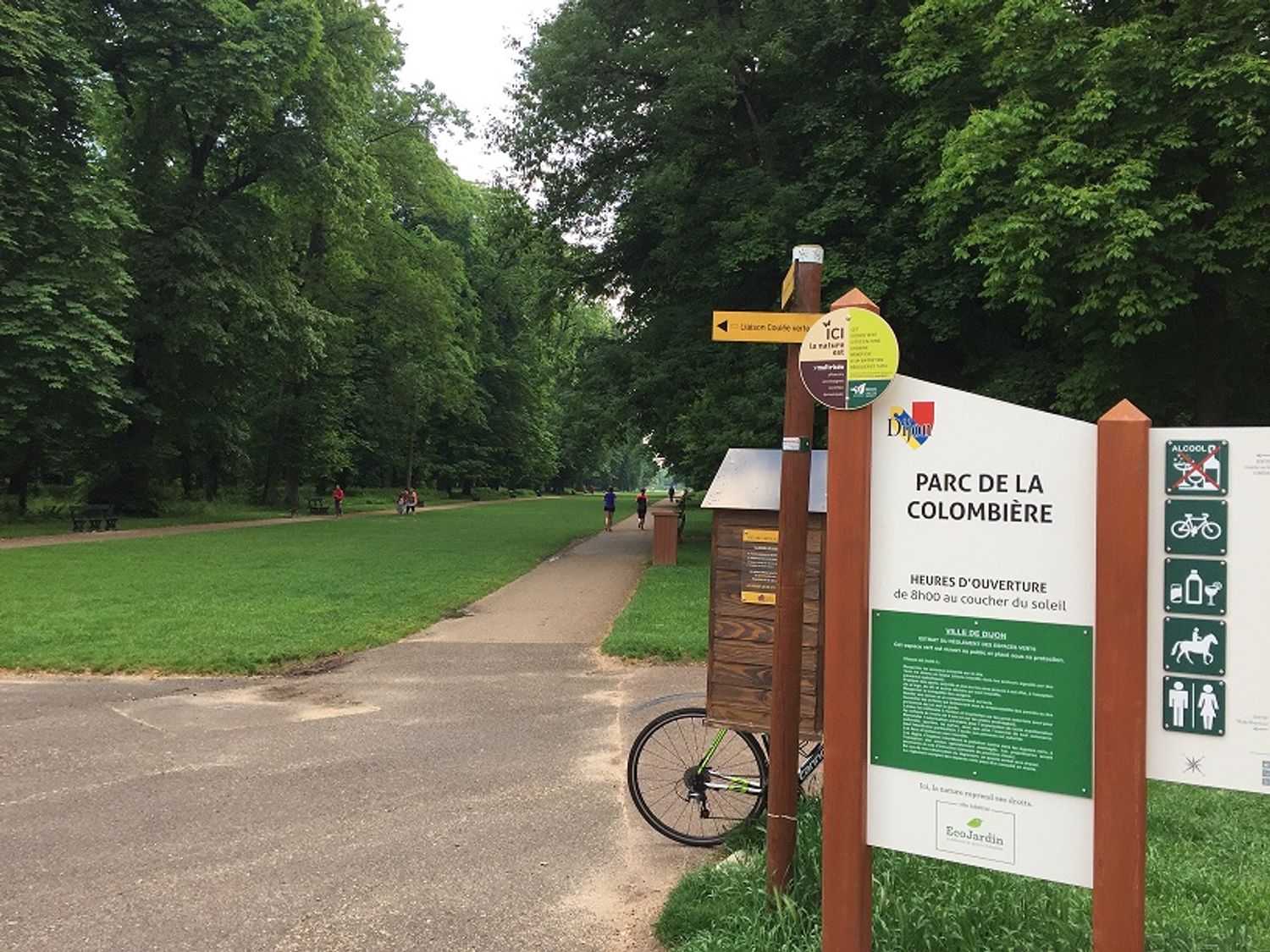 L'accident s'est produit ce lundi après-midi au parc de la Colombière, à Dijon